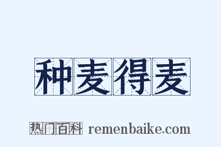 种麦得麦是什么意思的图片